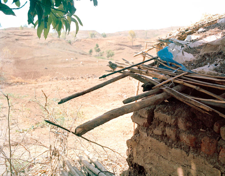 Sohrab Hura, The Song of Sparrows in a Hundred Days of Summer, 2013-2017
