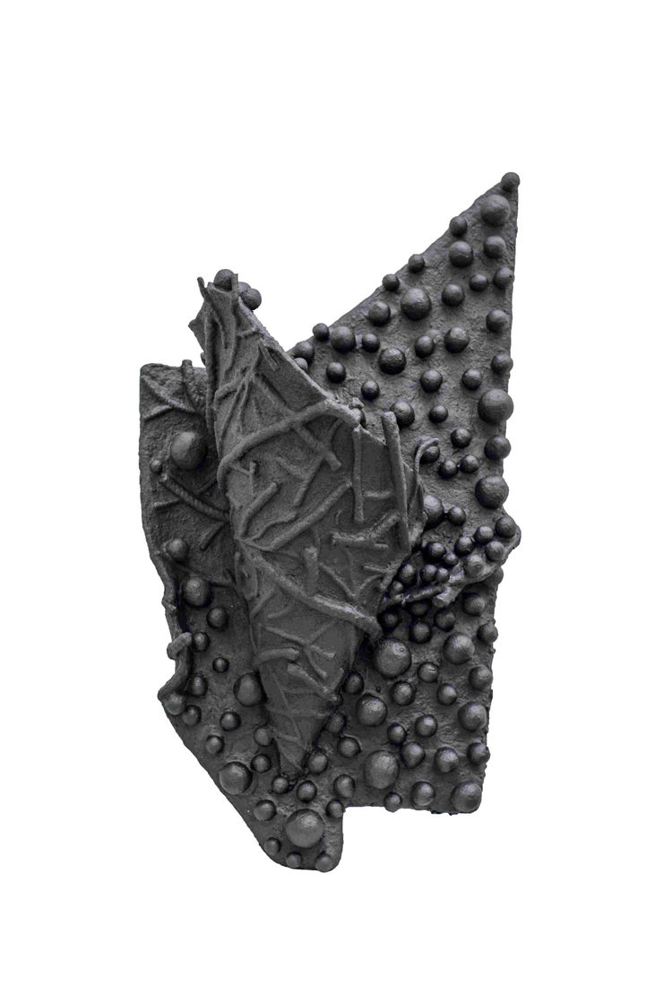 Pushpakanthan Pakkiyarajah, Wounded flowers, 2024-2025