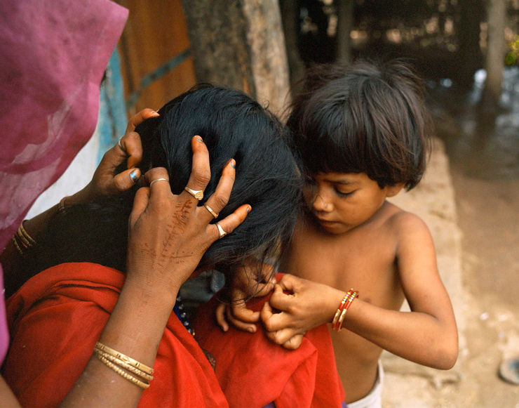 Sohrab Hura, The Song of Sparrows in a Hundred Days of Summer, 2013-2017