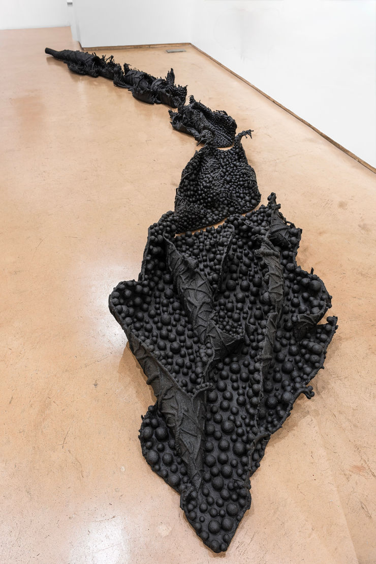 Pushpakanthan Pakkiyarajah, Grieving and Mycelium II, 2023-2025