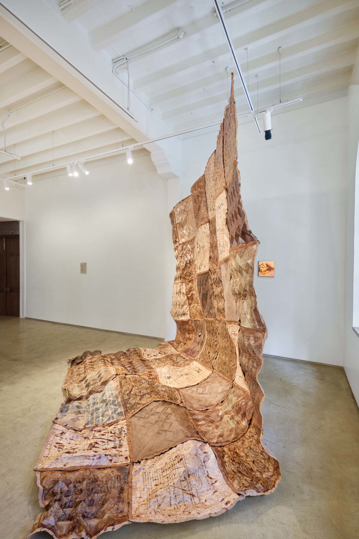 Bhasha Chakrabarti, Kaghazi Hai Pairahan, 2024