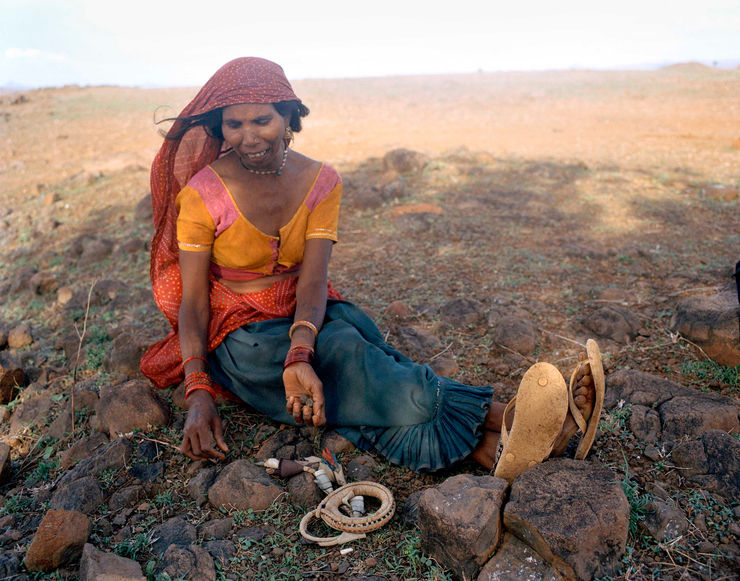 Sohrab Hura, The Song of Sparrows in a Hundred Days of Summer, 2013-2017