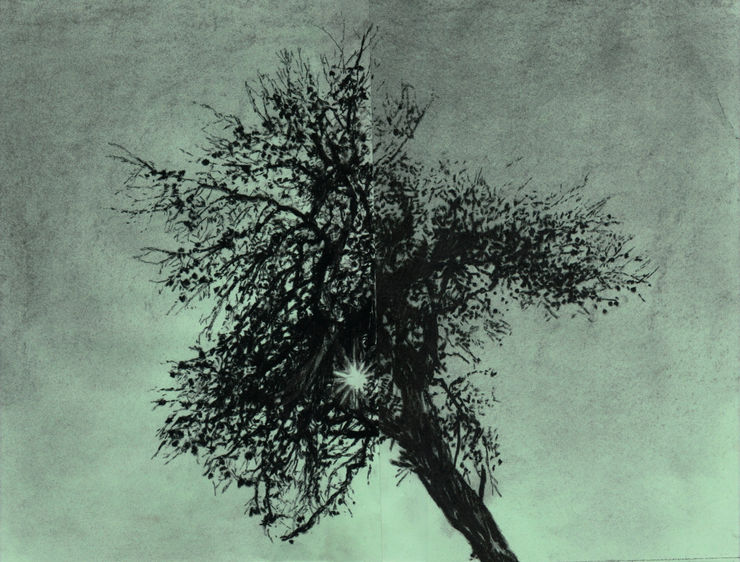 Julien Segard, Dialogues intérieurs à la périphérie V, 2025