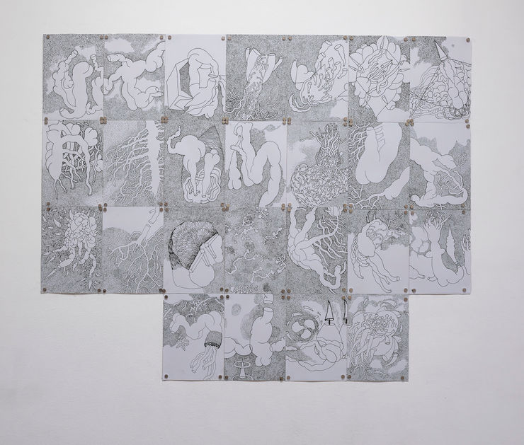 Pushpakanthan Pakkiyarajah, Diary of wounded flowers, 2024-2025