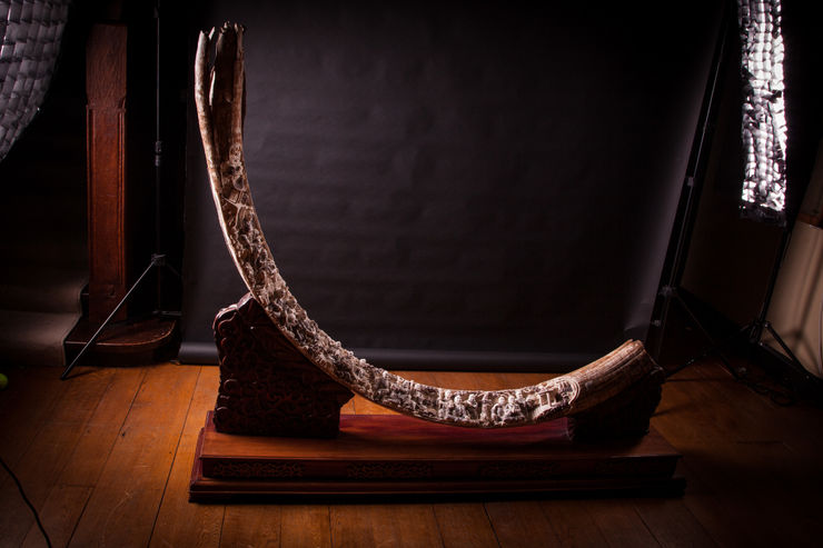 Jameson J Wood Exceptional Carved Fossil Wooly Mammoth Tusk, 1979