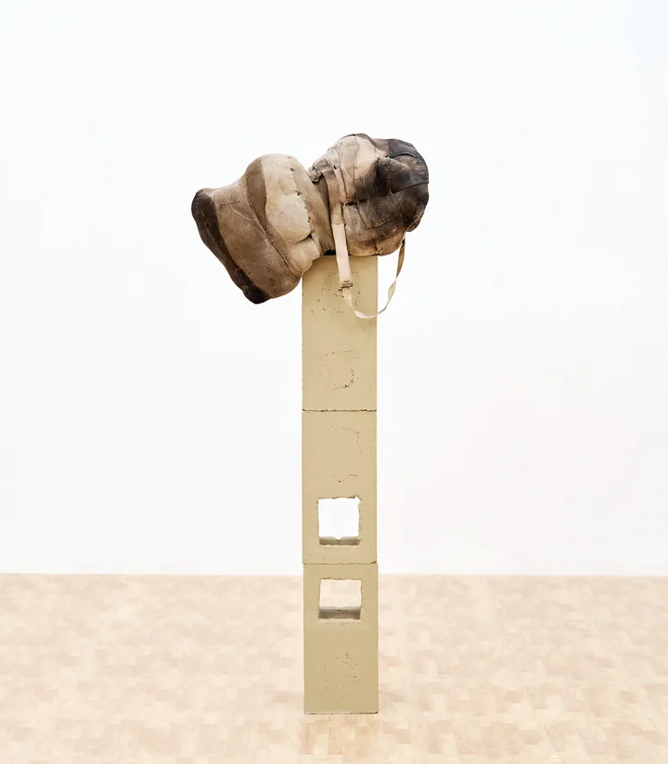 Patricia Ayres, Untitled, 2020