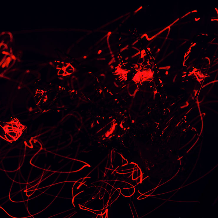 Philip Groening Flowers IV - Laser Drawing Upon Reality, 2020-2021 Tricoia, HDF, print on acrylic glass, LEDs 39 ½ x 39 ½ x 4 ½ in 100 x 100 x 12 cm Edition 1 of 5 + 1 AP