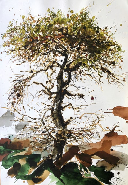 Juan Pedro Ayala, Árbol #14, 2006