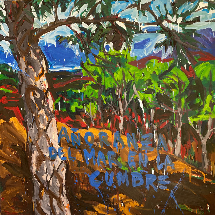 Juan Pedro Ayala, Añoranza del mar en la cumbre, 2010