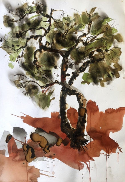 Juan Pedro Ayala, Árbol #13, 2006