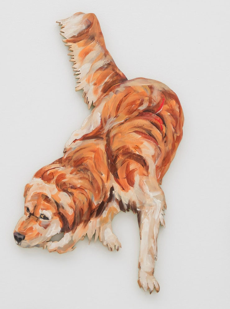 Juan Pedro Ayala, Perros 18, 2012