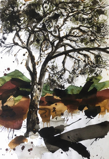 Juan Pedro Ayala, Árbol #5, 2006