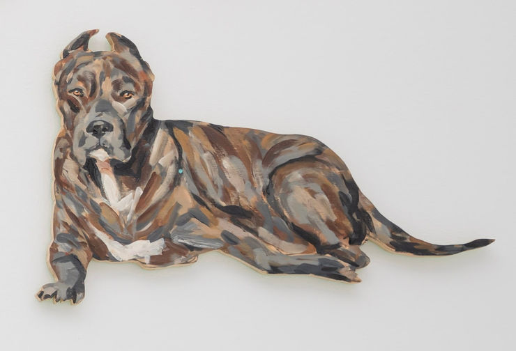 Juan Pedro Ayala, Perros 25, 2012