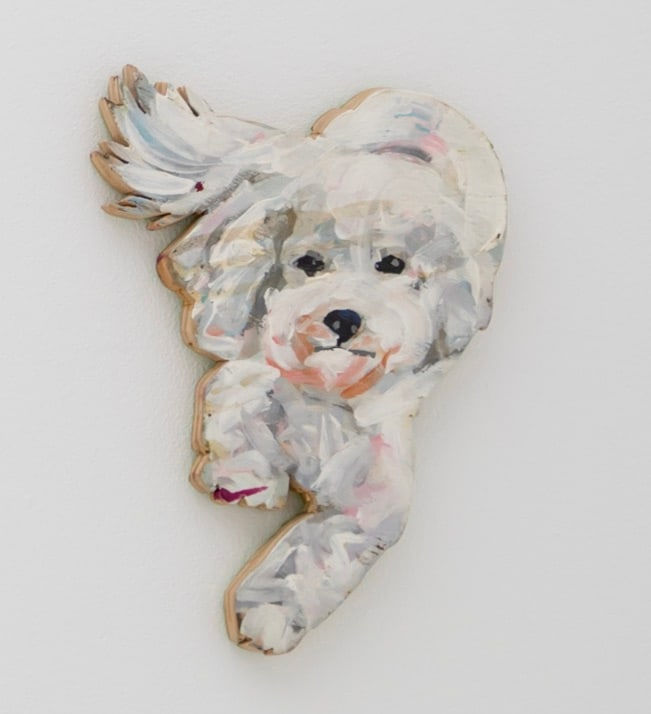 Juan Pedro Ayala, Perros 28, 2012