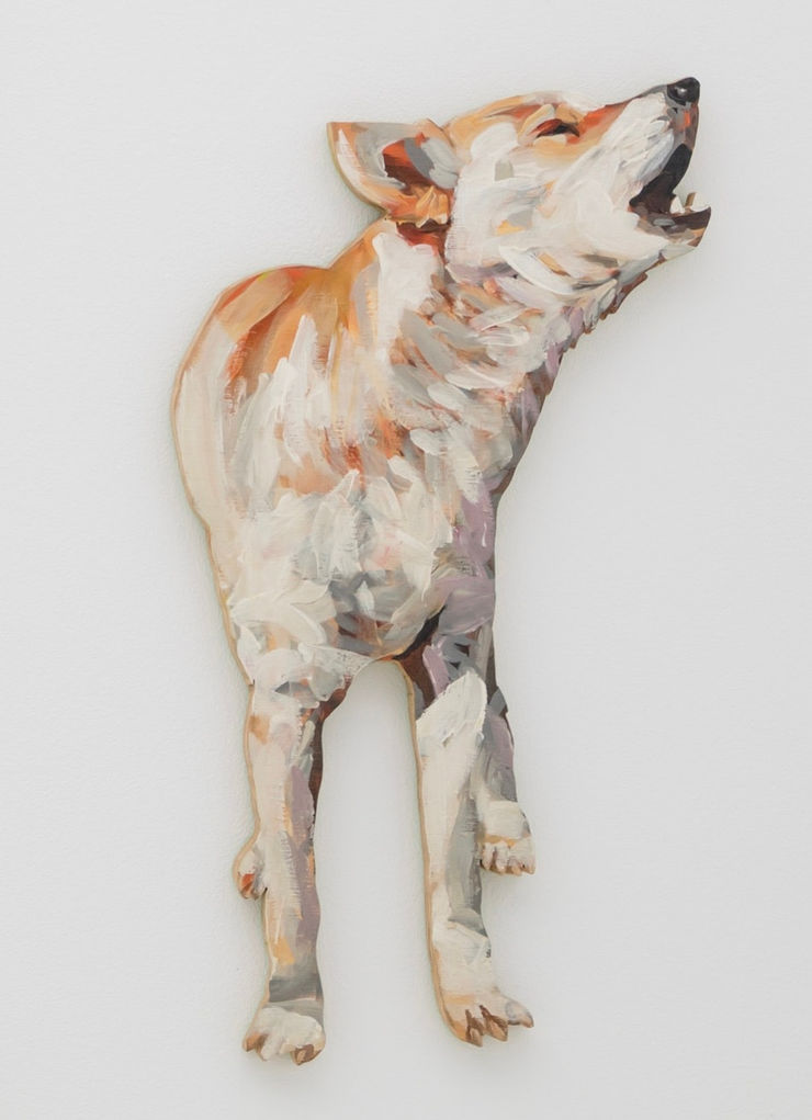 Juan Pedro Ayala, Perros 26, 2012