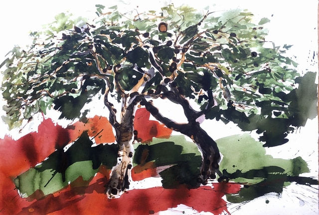Juan Pedro Ayala, Árbol #25, 2006