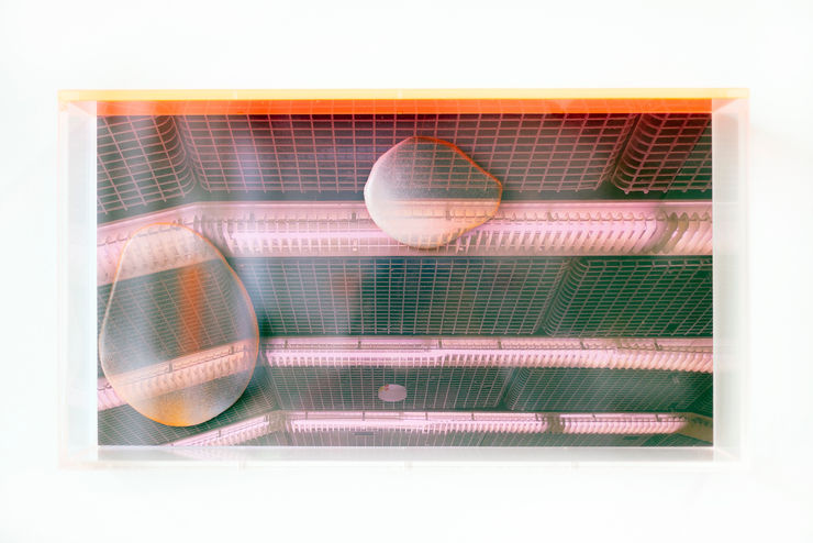 Marleen Sleeuwits, Ongoing Series of False Ceilings no. 26, 2025