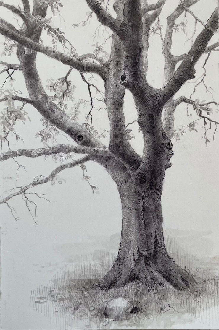 Dina Brodsky, The Overstory VII, 2023