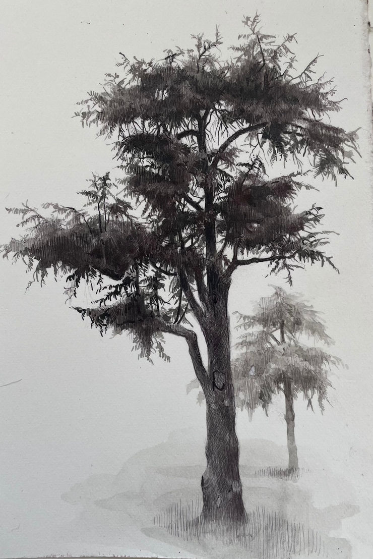 Dina Brodsky, The Overstory II , 2023