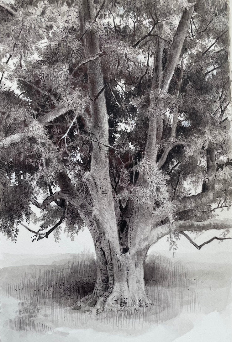 Dina Brodsky, The Overstory V, 2023