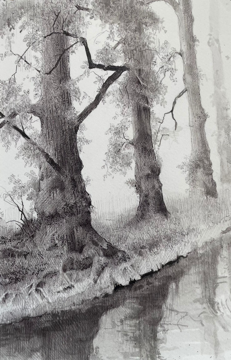 Dina Brodsky, The Overstory VIII, 2024