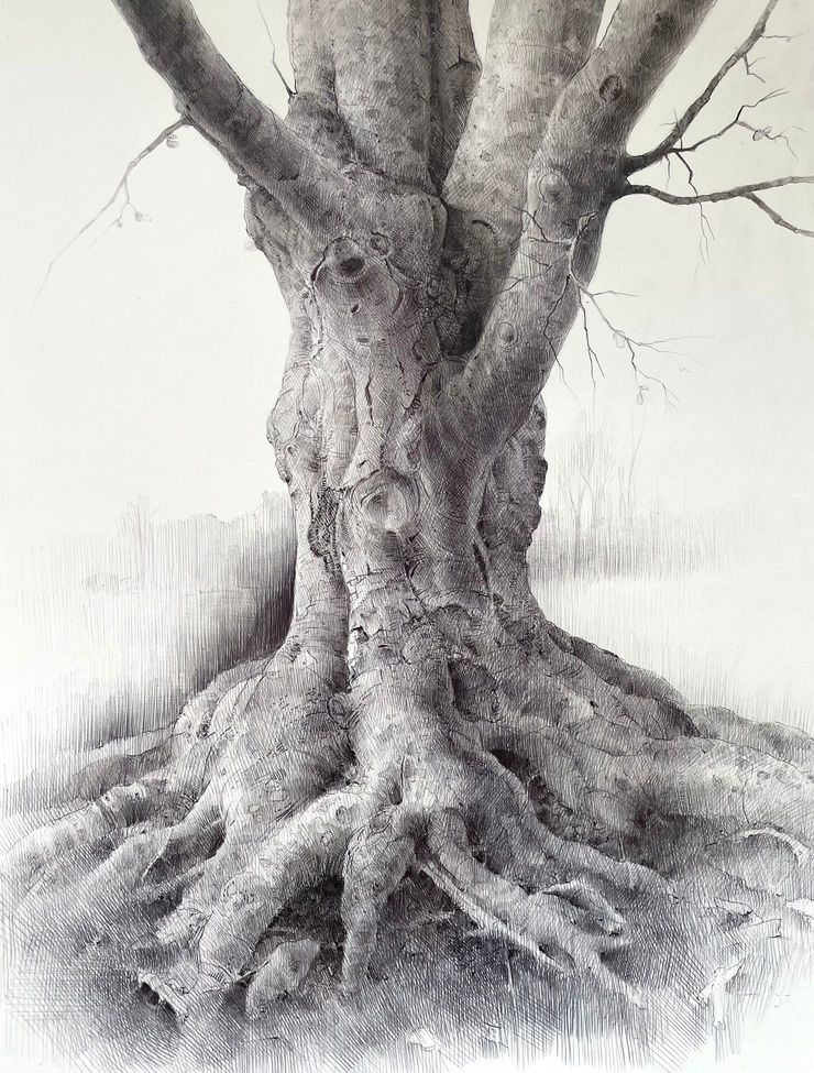 Dina Brodsky, The Overstory XVIII, 2024