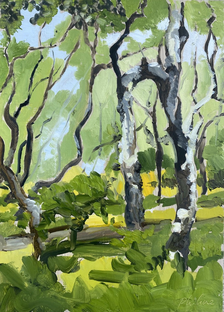 Philine van der Vegte, Summer forest , 2020