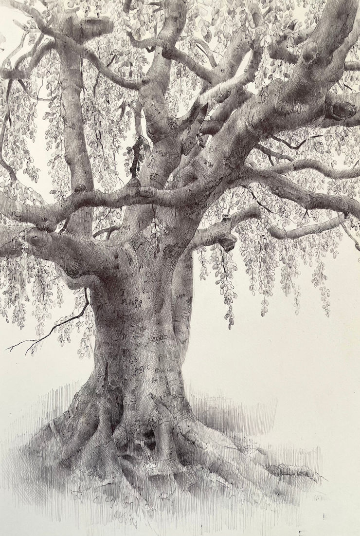 Dina Brodsky, The Overstory XIV, 2023