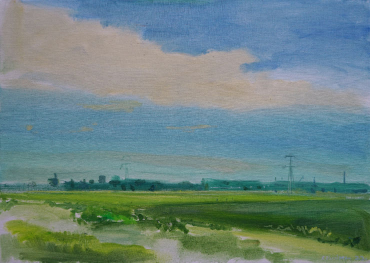 Robert Vorstman, Landsmeerderveld, 2020