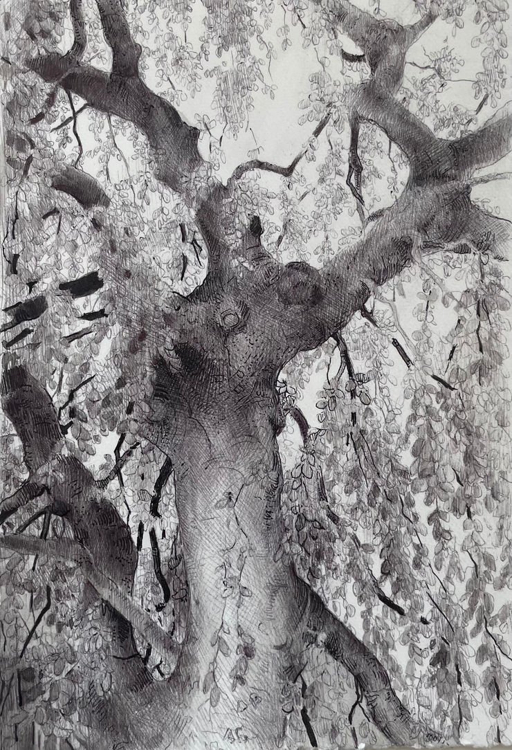 Dina Brodsky, The Overstory IV, 2023