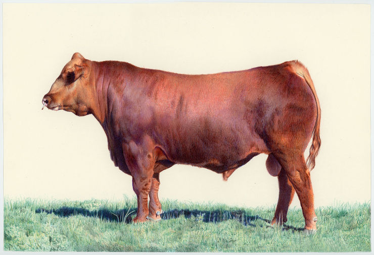 Nicolas Sanchez, Totem, 2024