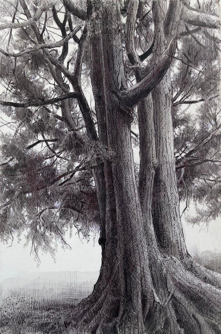 Dina Brodsky, The Overstory VI, 2023