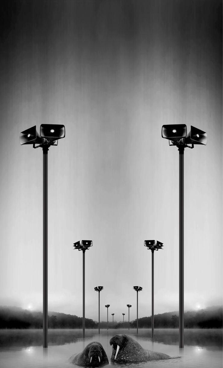 Wojtek Klimek, Announcement - SOLD OUT, 2020