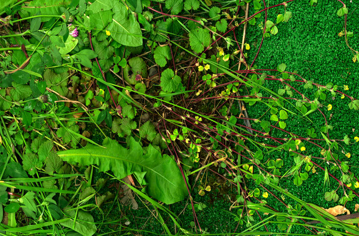 Till Könneker, Close Encounters II, 2015