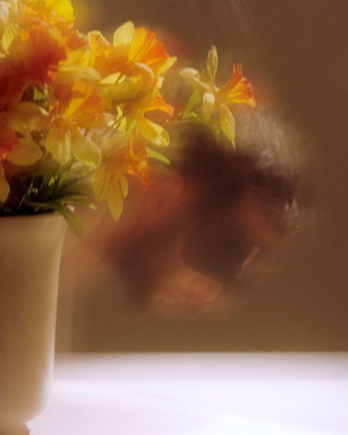 Roberto Greco, Refléter son Narcisse (Reflecting its Narcissus) #4, 2020