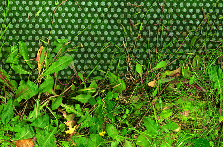 Till Könneker, Close Encounters VII, 2015