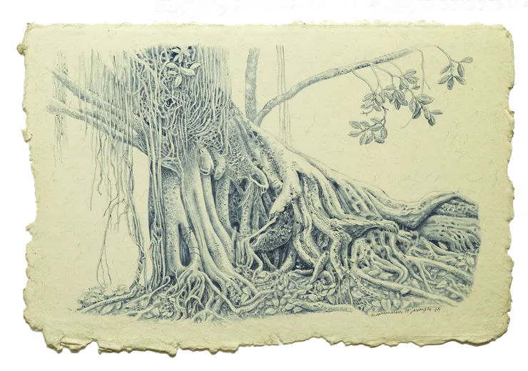 Karunasiri Wijesinghe, Banyan Tree- Viharamahadevi Park, Colombo, 2024