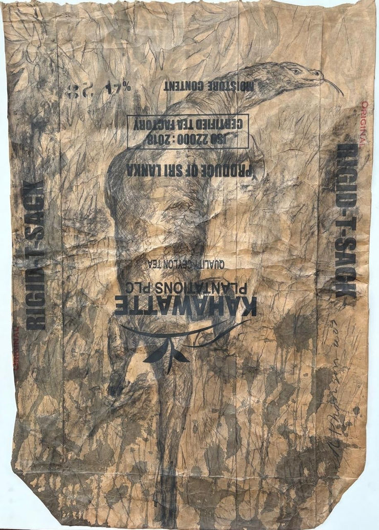 Edwina Thomson, Water Monitor (Parliament Lake), 2025