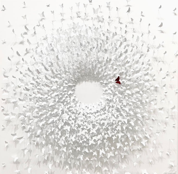 Joel Amit, Here Comes the Sun