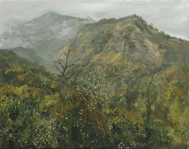 Andrew Durgin-Barnes, Griffith Park in Fog, 2025