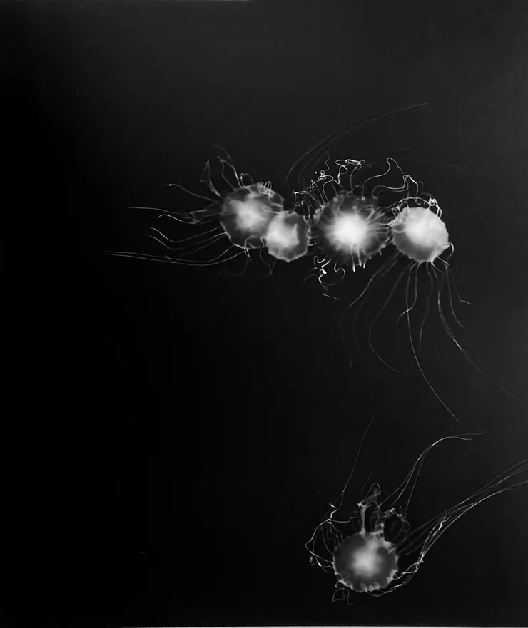 Aliki Christoforou, Perspectives submergées 10, 2024