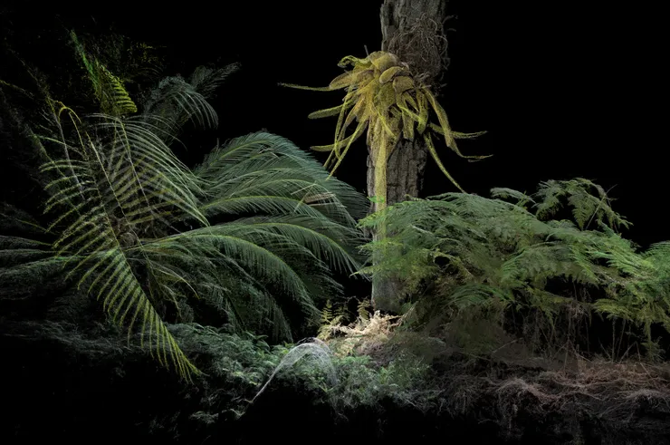 Cristóbal Ascencio, Garden #5, 2023