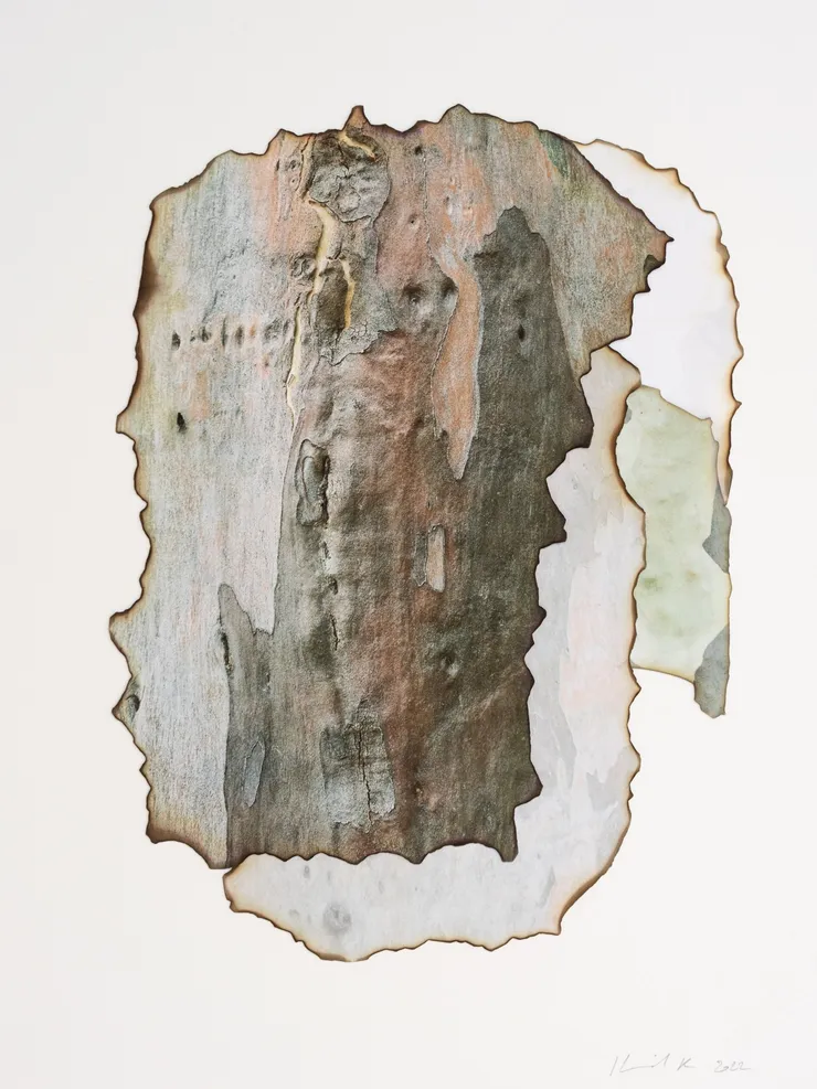 Morvarid K, This Too Shall Pass Temps 3.18, 2022