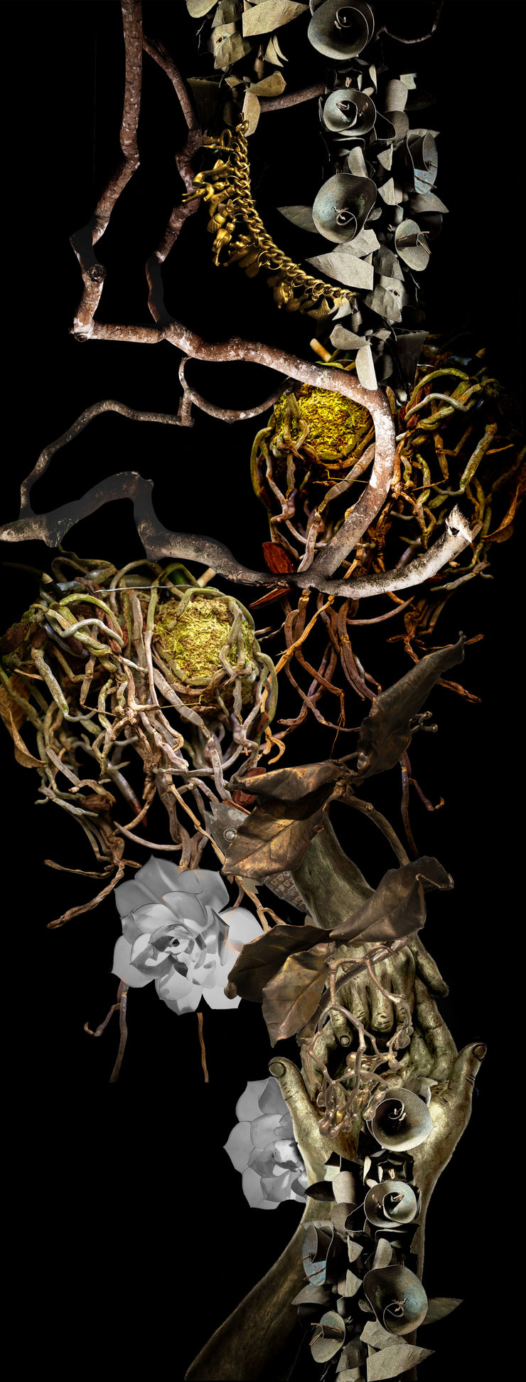 Claudia Jaguaribe, From the series Viveiro, 2024