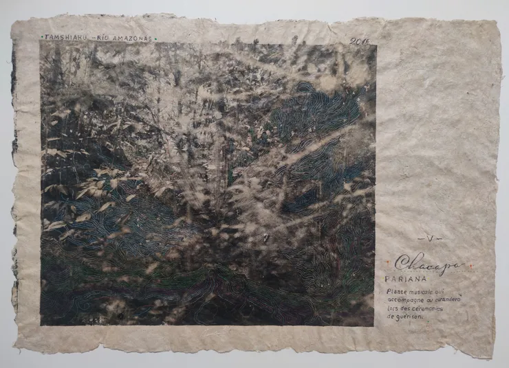 Pepe Atocha, Chacapa, 2024