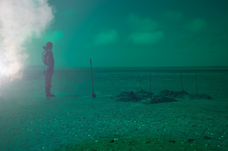 Alice Pallot, Analyses noires, from the series Algues Maudites - a sea of tears, 2022