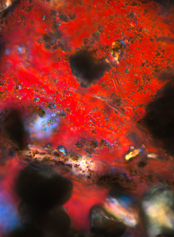 Alice Pallot, Echantillon rose - from the series Algues Maudites - a sea of tears, 2022