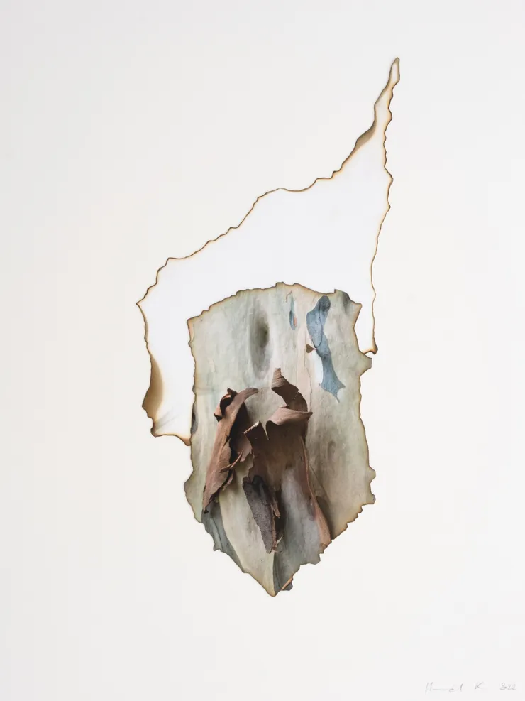 Morvarid K, This Too Shall Pass Temps 3.19, 2022