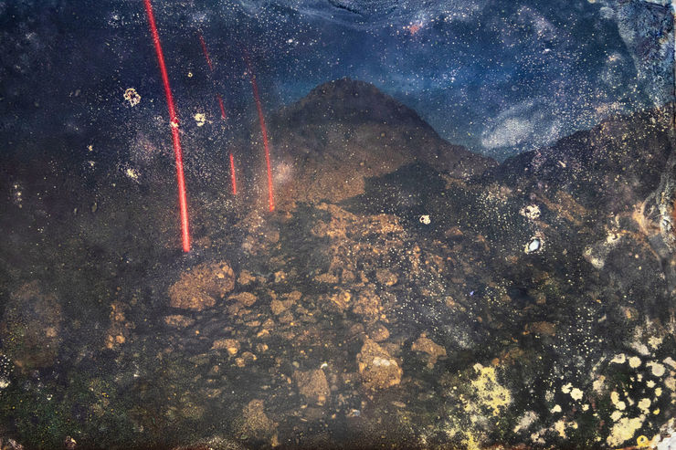 Alice Pallot, Alteration, from the series Algues Maudites - Red Bloom, 2024