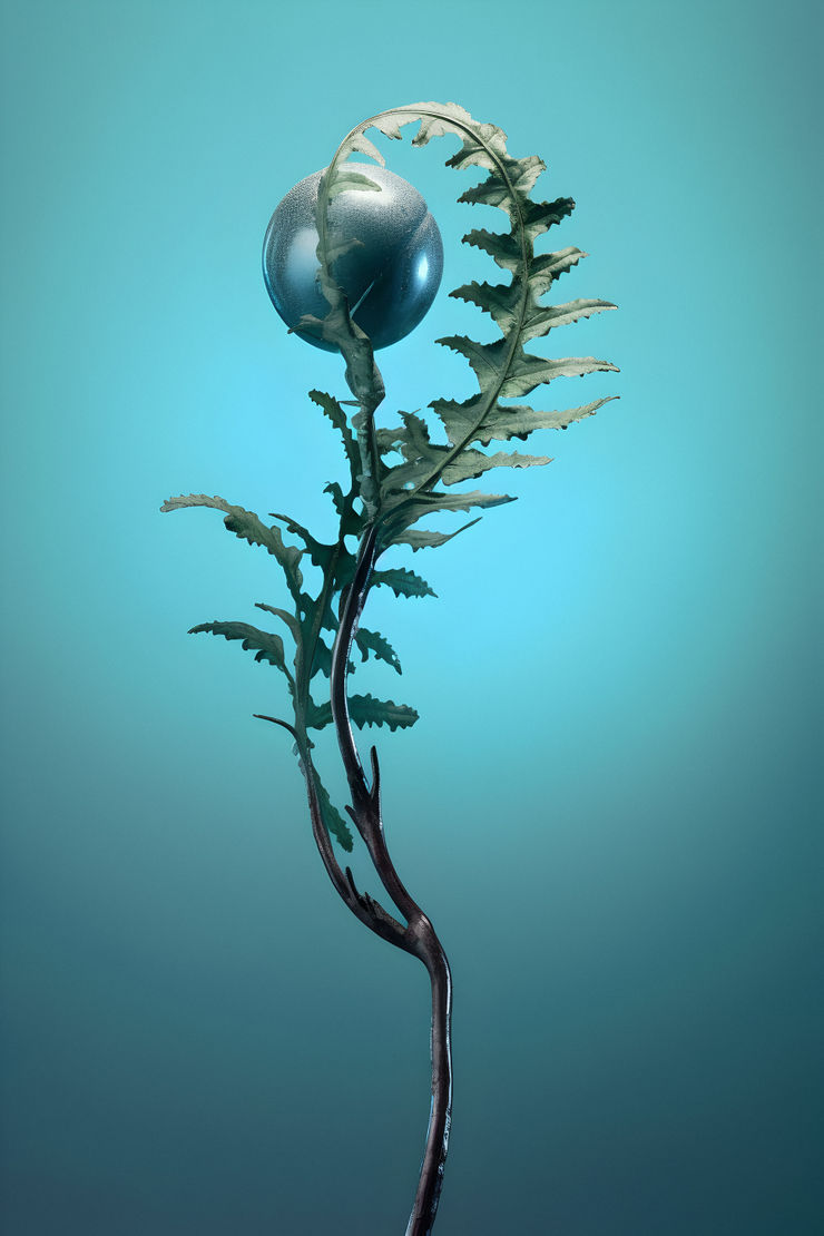 Claudia Jaguaribe, From the series Viveiro, 2023